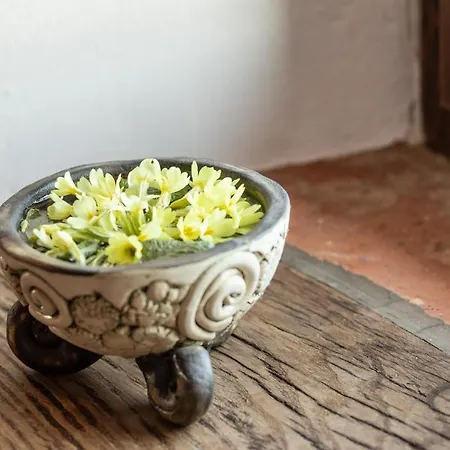 Casa vacanze Zunko *